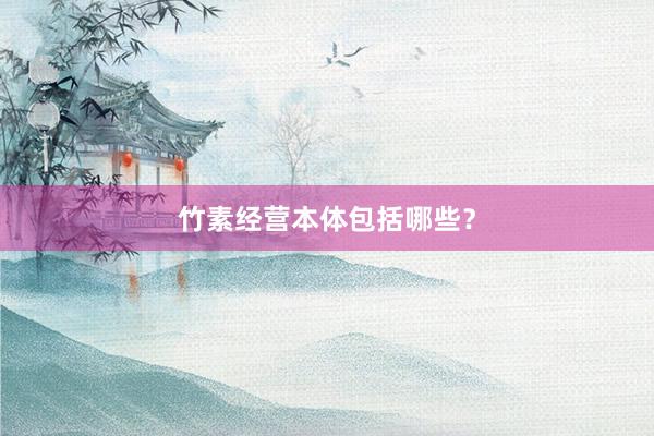 竹素经营本体包括哪些？