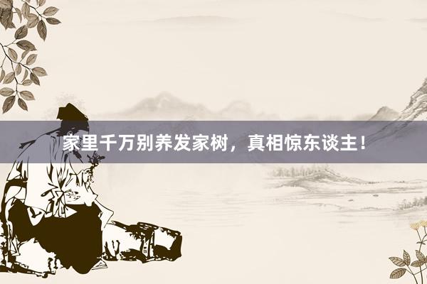 家里千万别养发家树，真相惊东谈主！
