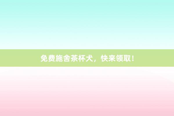 免费施舍茶杯犬,快来领取!