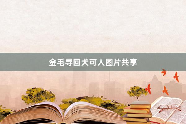 金毛寻回犬可人图片共享